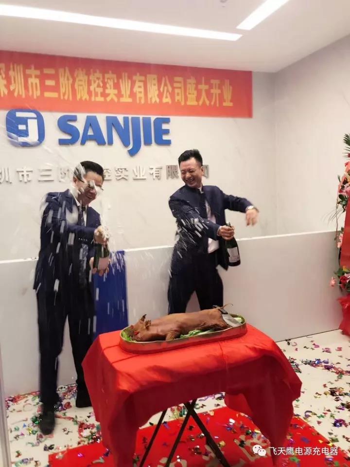 飞天鹰电源适配器厂家