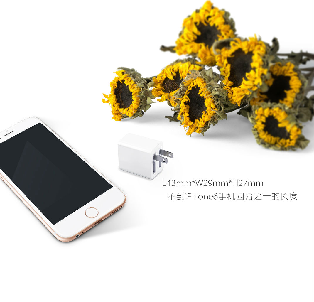 5V2.4A 美规USB充电器