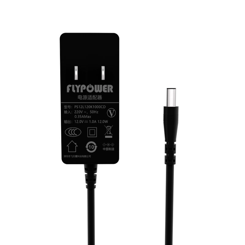 12V1A router power adapter