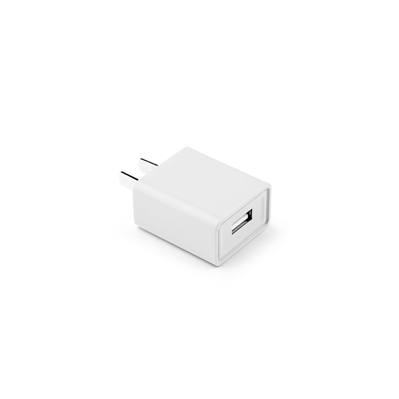 5V1A Small Appliance Power Adapter
