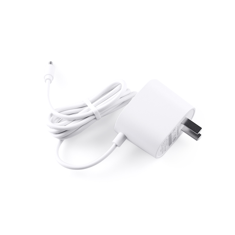 12V1A Smart Speaker Power Adapter