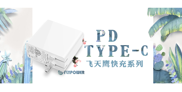 你想扔掉笨重的电源适配器吗？那么不如试试这款吧。